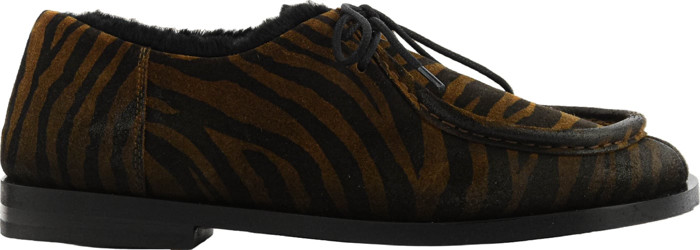 Lace Up Zebra