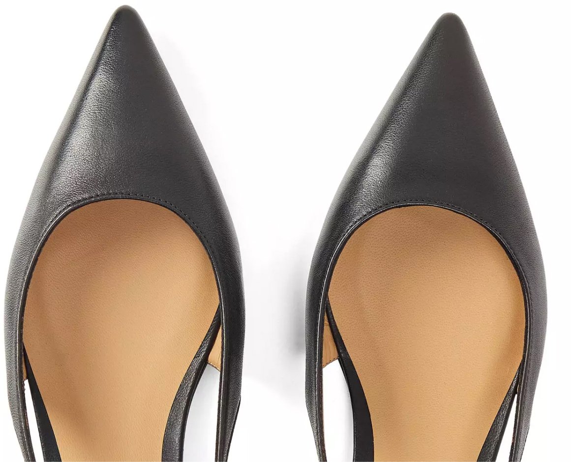 Pointed Toe Slingback Pumps