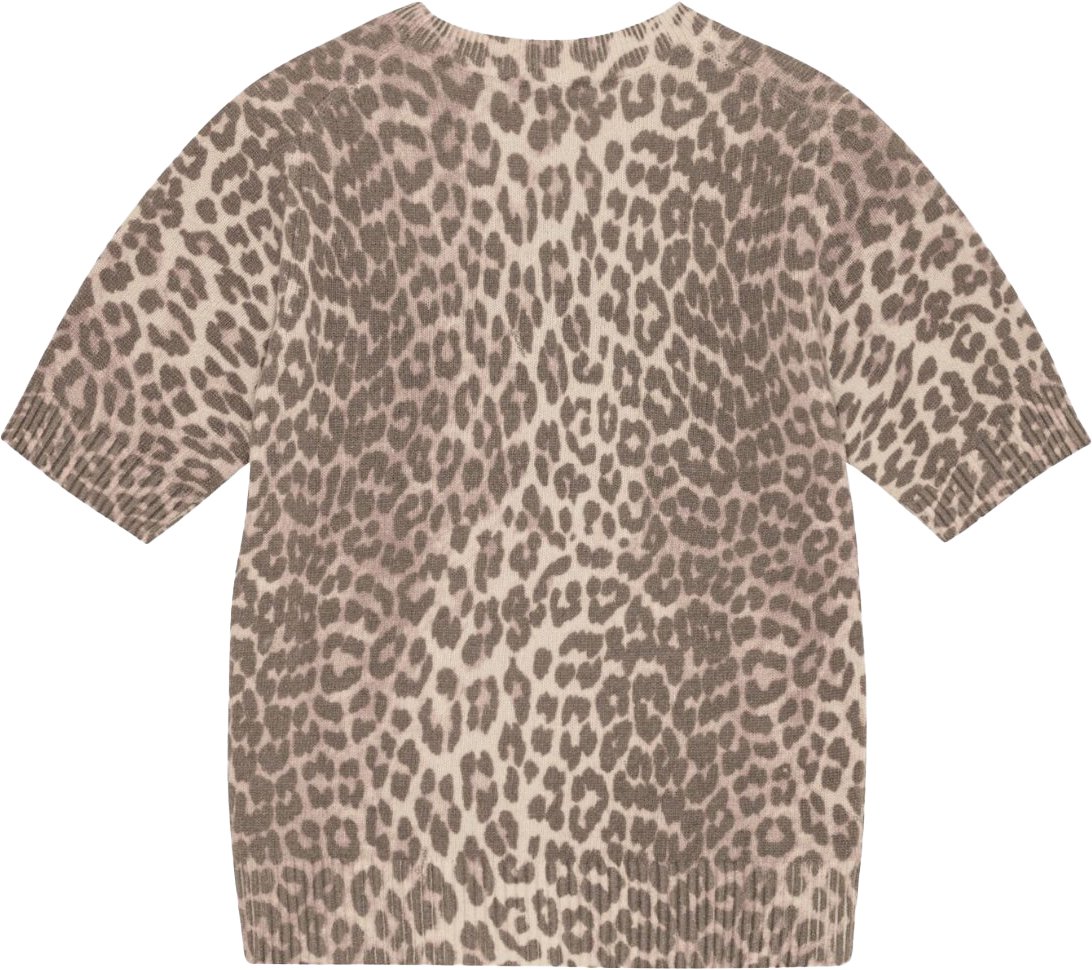 pull leopard logo