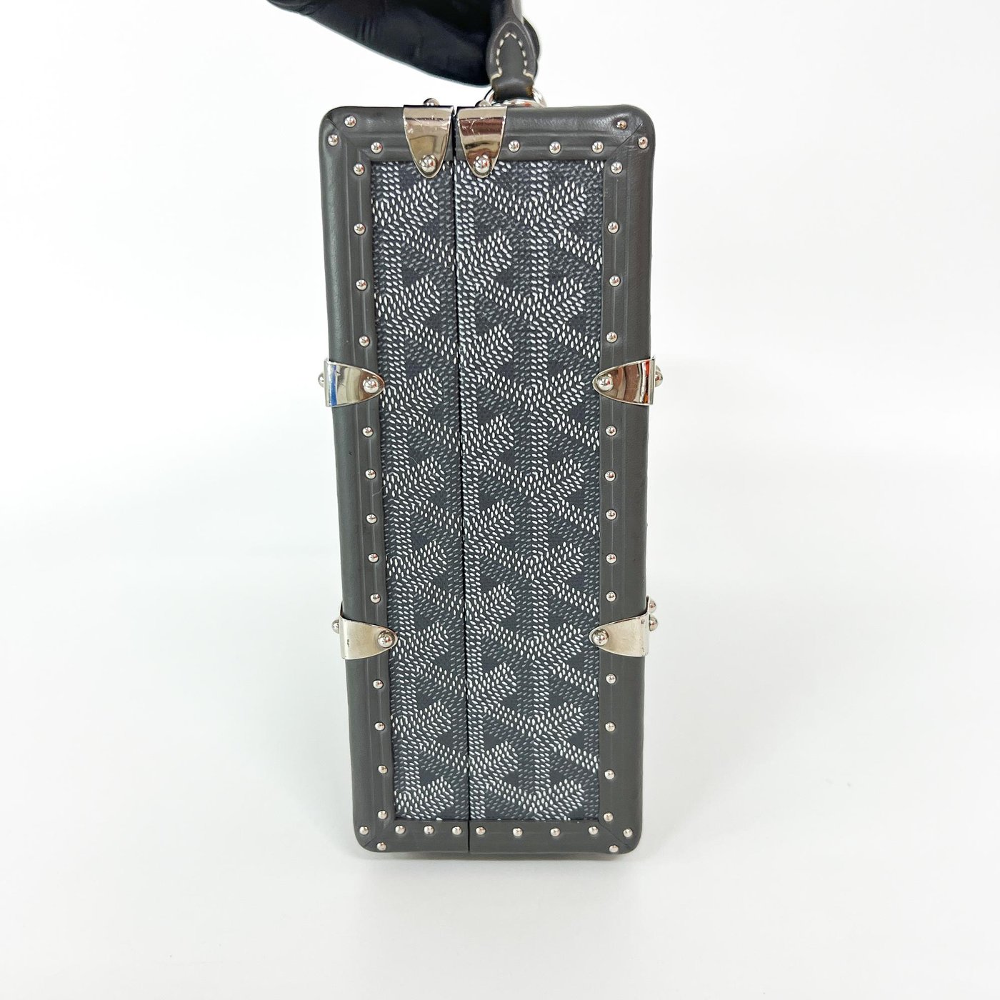 Goyard Grand Hotel Trunk Coated Canvas PM