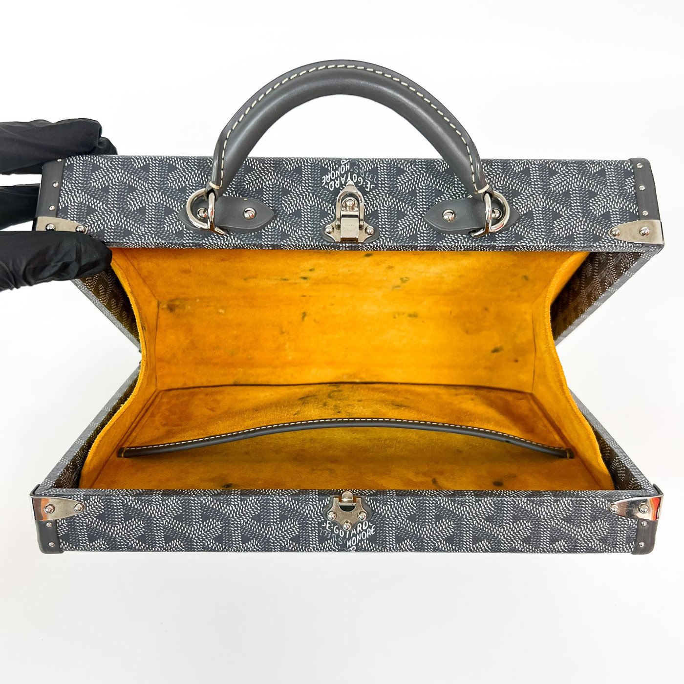 Goyard Grand Hotel Trunk Coated Canvas PM