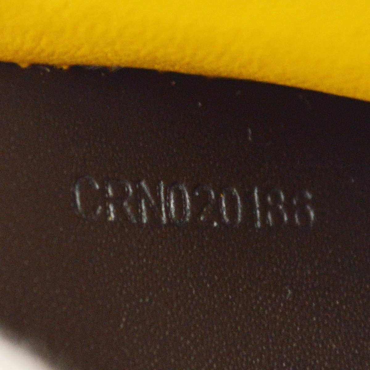 Goyard Saint Roch Coated Canvas