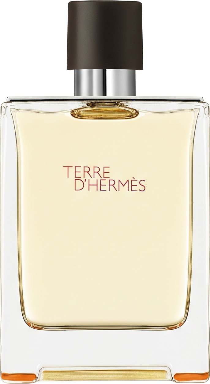 Hermès Terre D'hermes Eau De Toilette Spray 100 ml