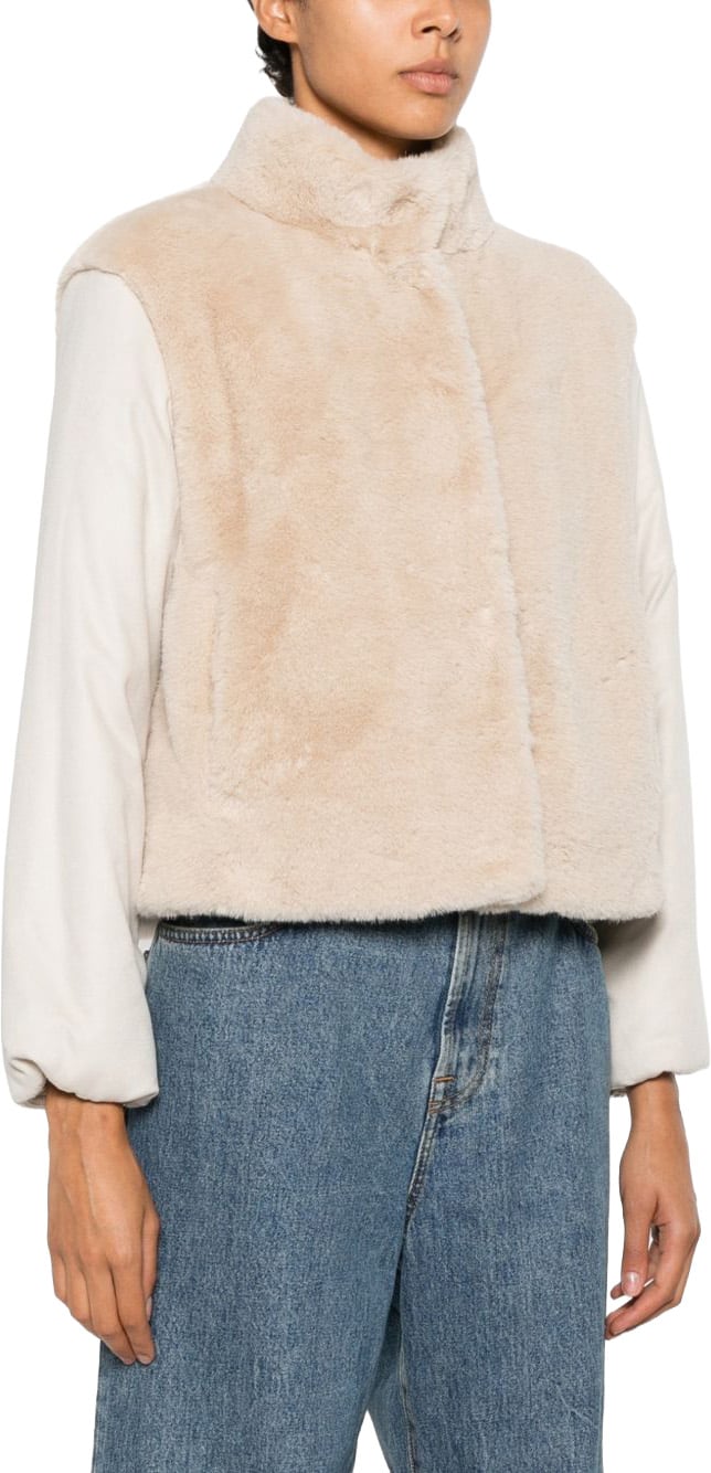 Coats Powder
