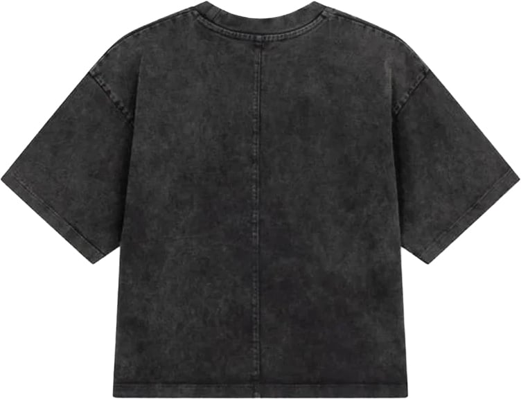t-shirt grey washed