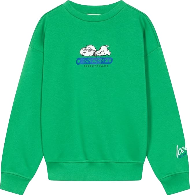Boys' lettuce-green crew-neck sweatshirt with food graphic