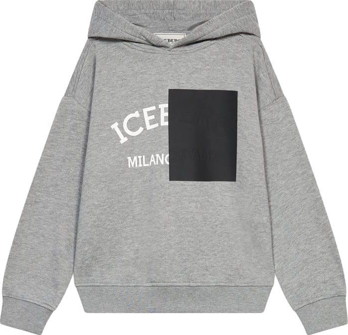 Boys' grey hoodie with nylon pocket