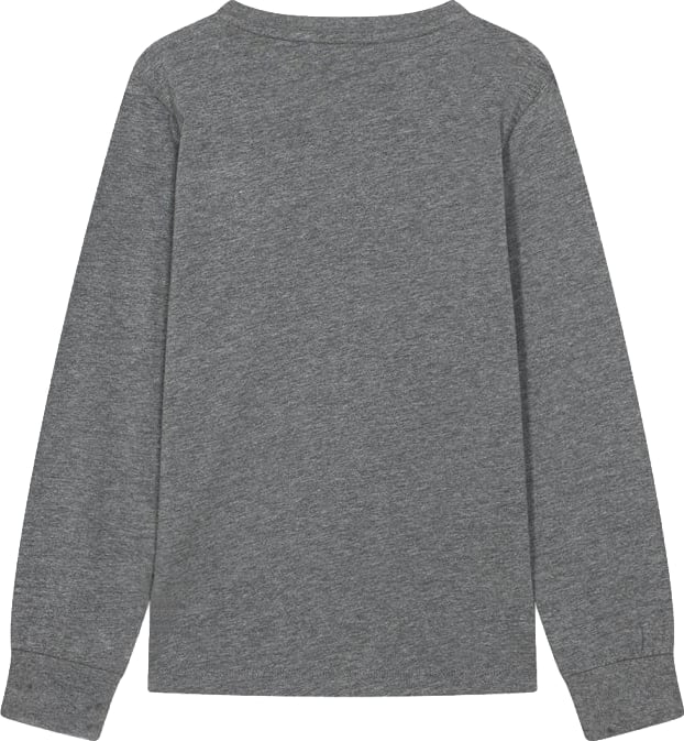 Boys' grey long-sleeved T-shirt with lettering graphic