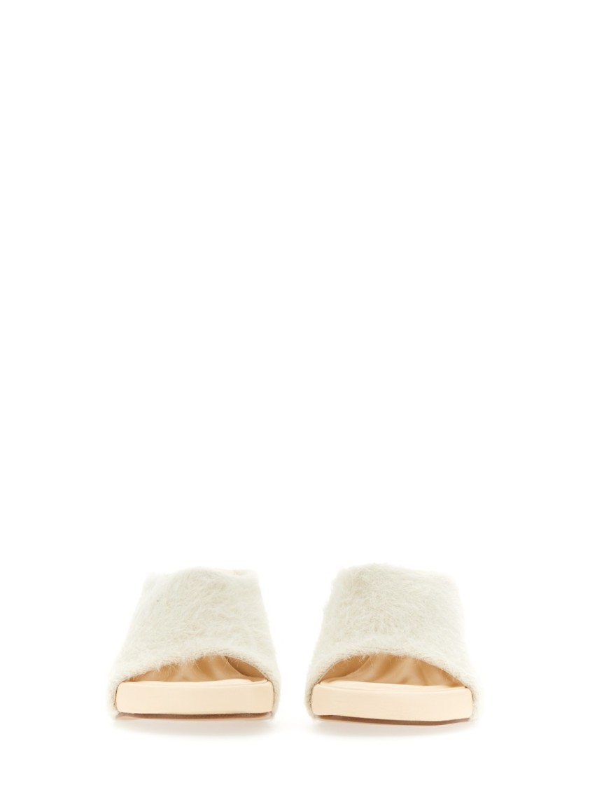 Cloud Mules