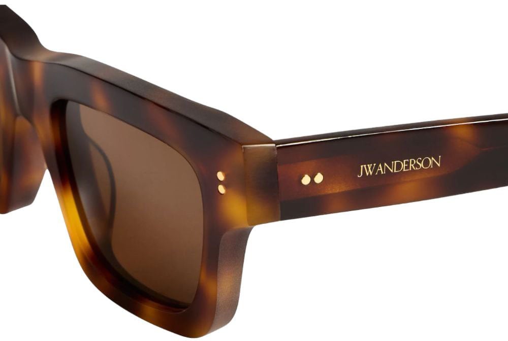 Sunglasses Brown