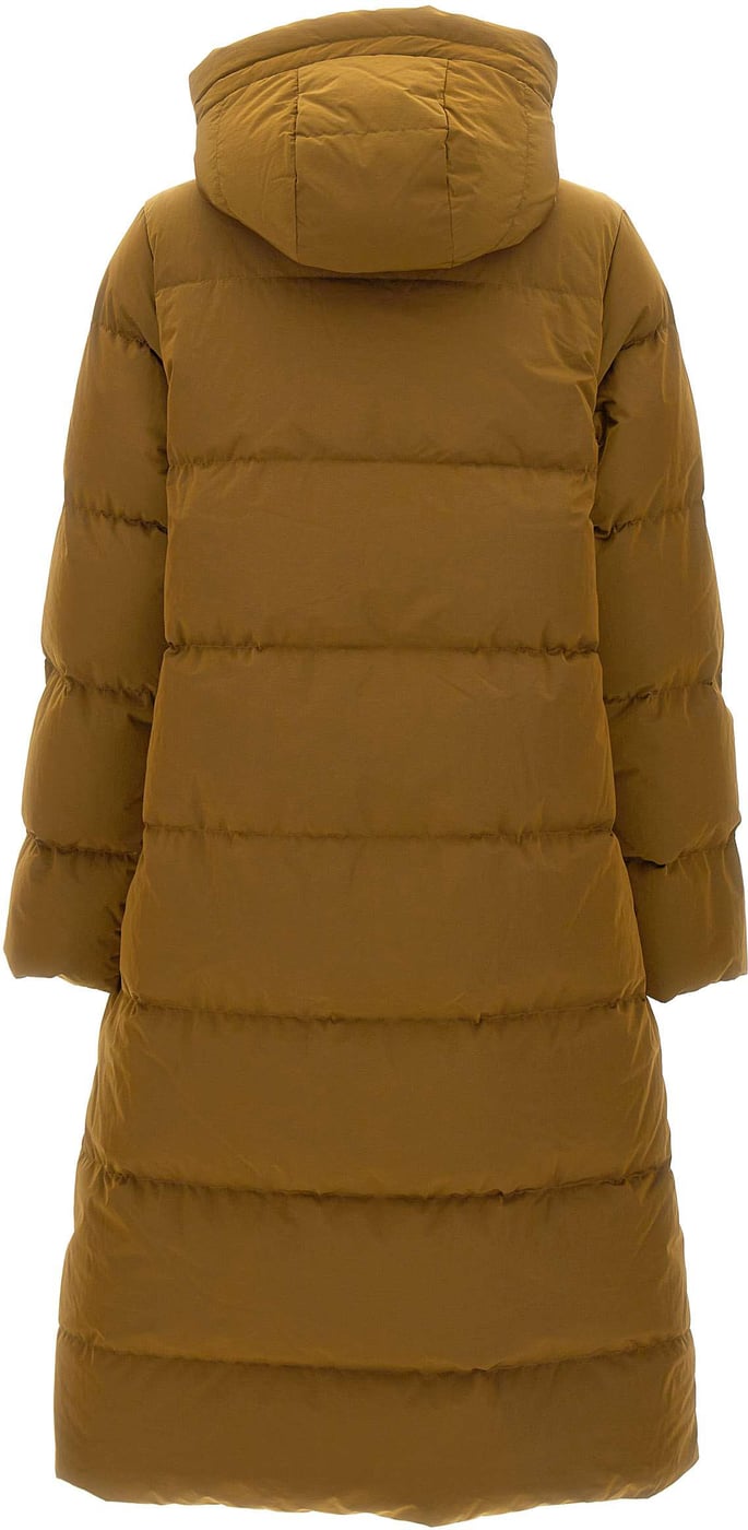 Coats Brown