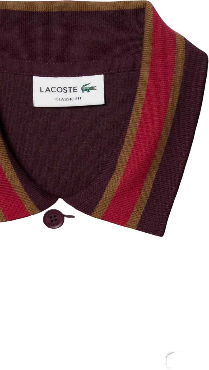 T-Shirts And Polos Marrone