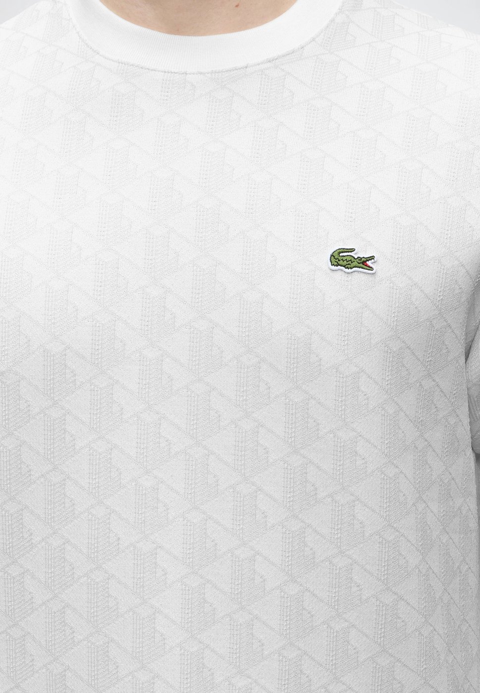 T-Shirts And Polos Grigio / Bianco
