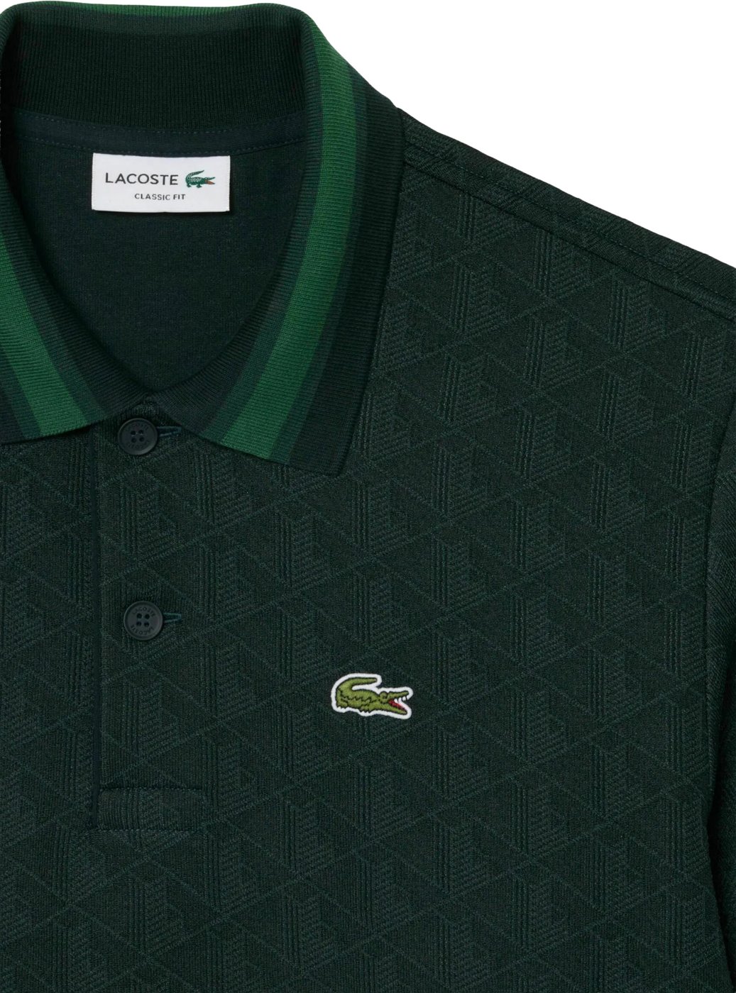 T-Shirts And Polos Verde