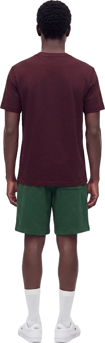 T-Shirts And Polos Marrone