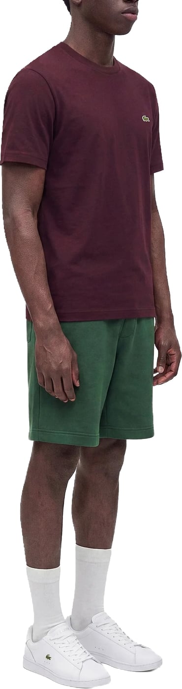 T-Shirts And Polos Marrone