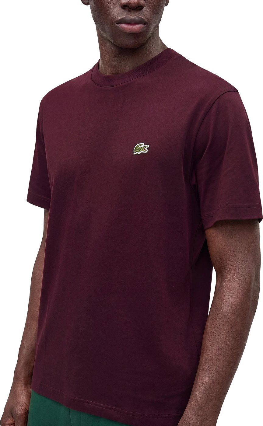 T-Shirts And Polos Marrone
