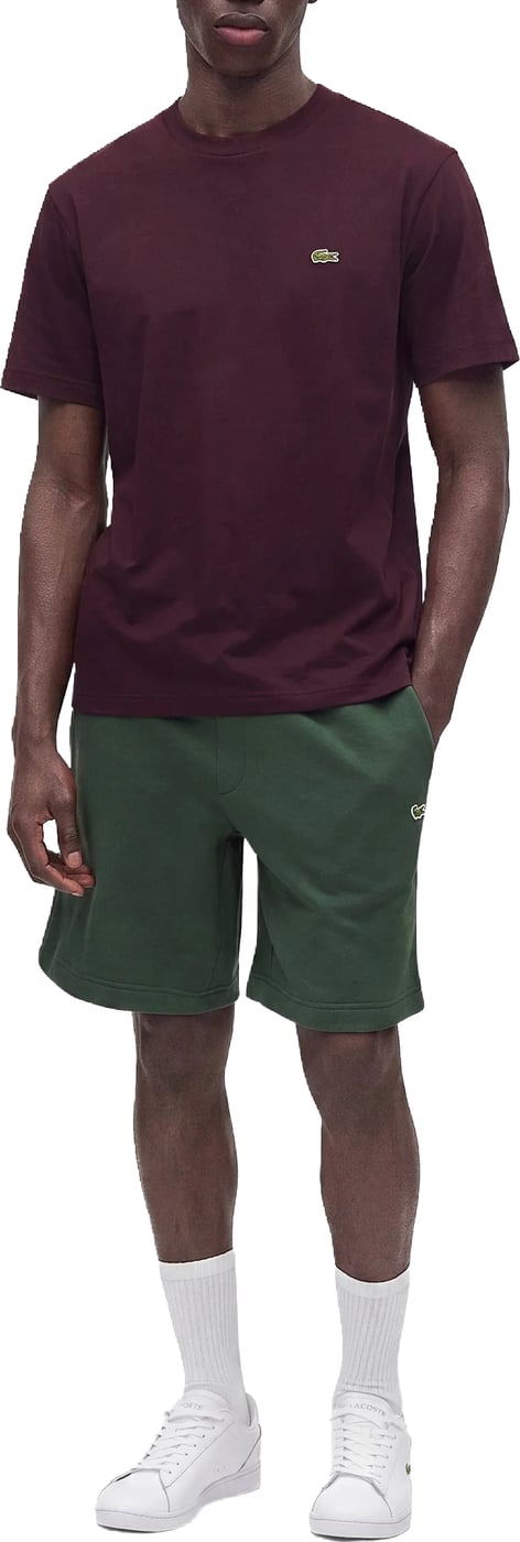 T-Shirts And Polos Marrone