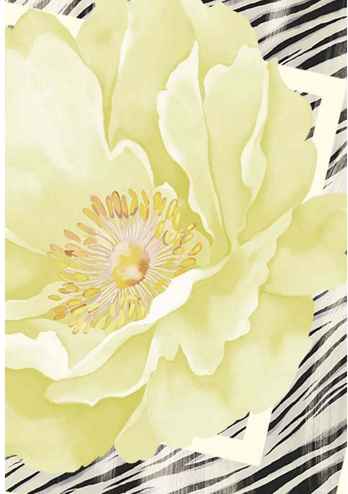 Liu Jo Gray Polyester Foulard