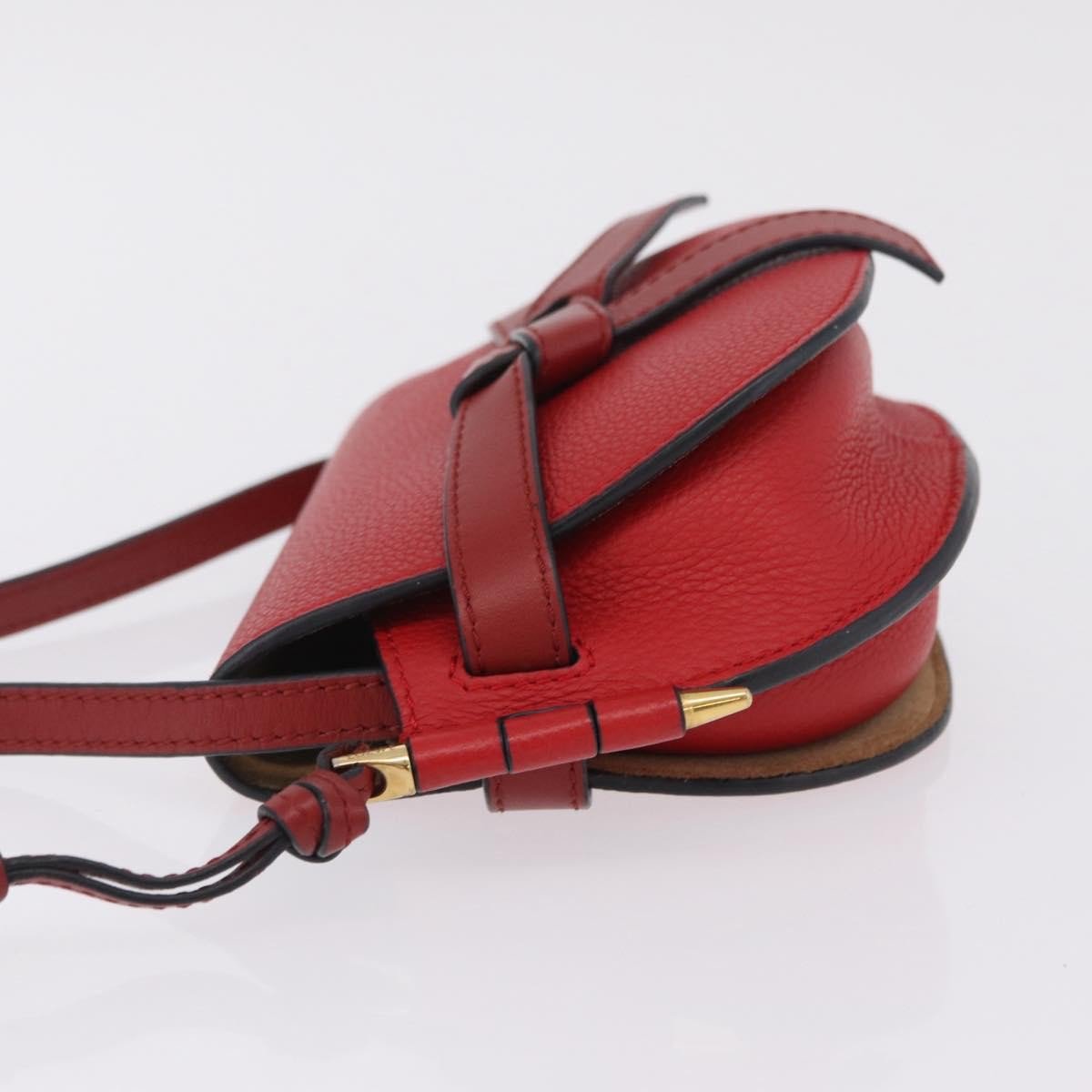 Loewe Metal Gate Leather Small