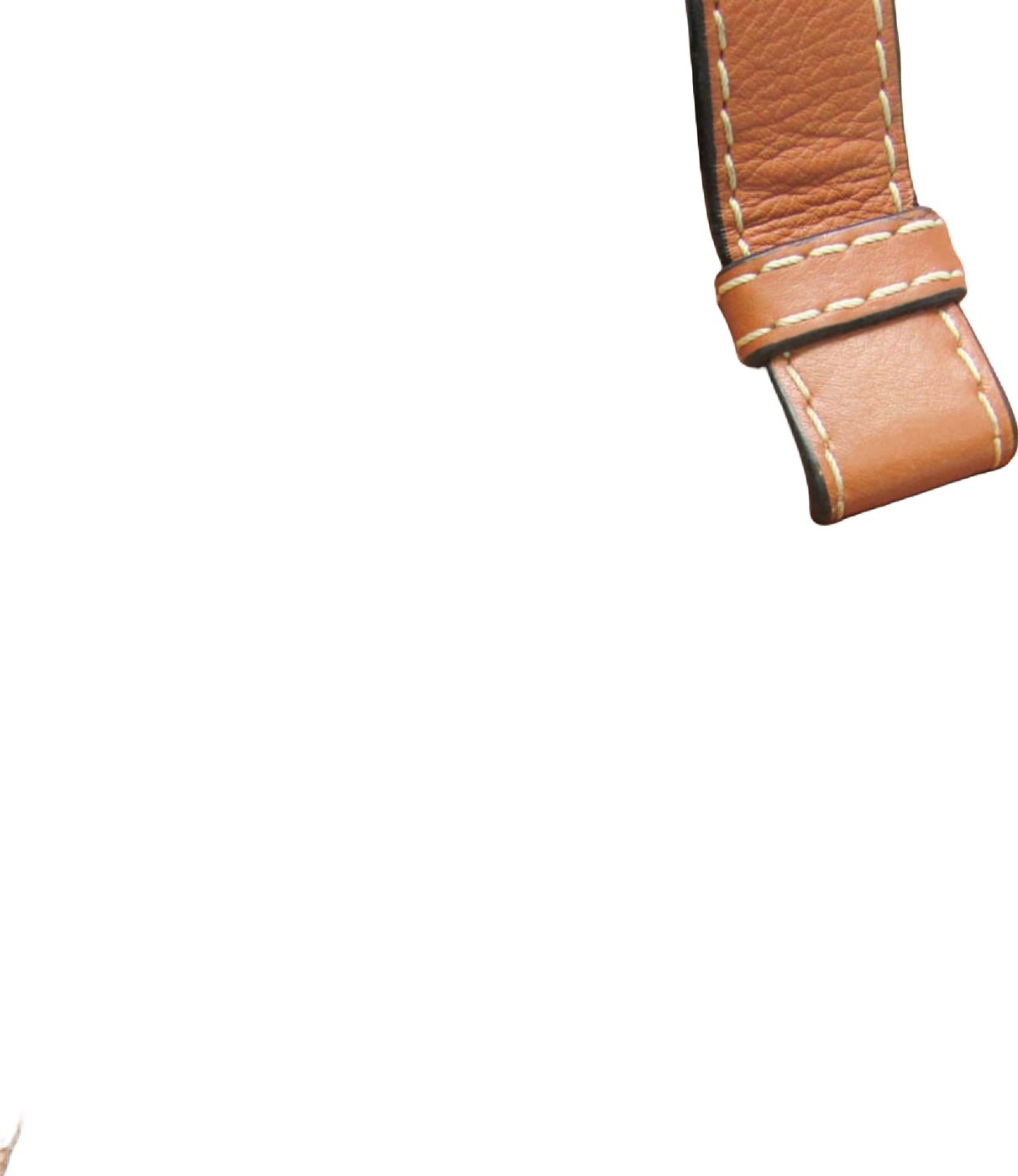 Loewe Hammock Leather and Canvas Small