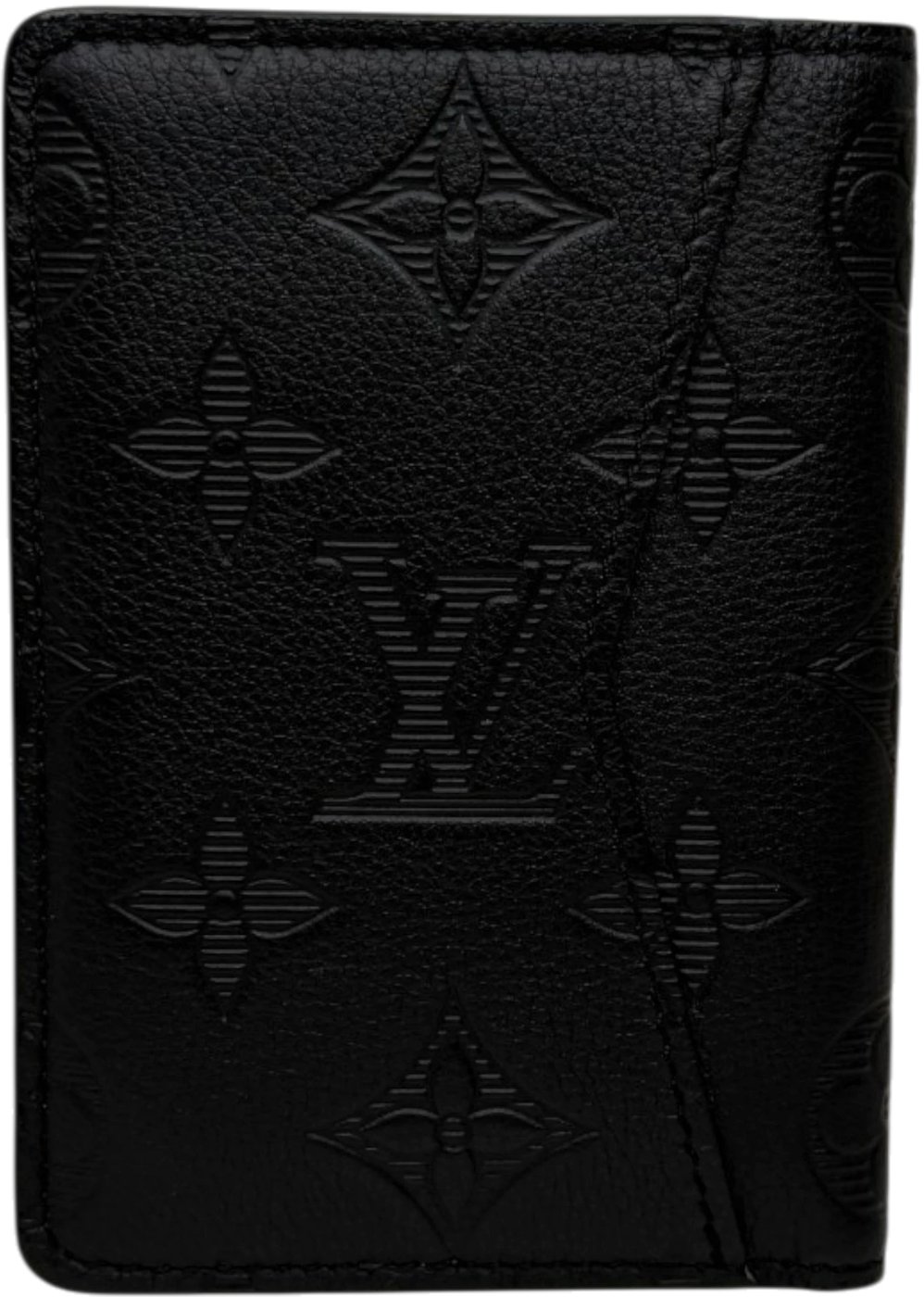 Louis Vuitton Bag Organiser Monogram Shadow Leather