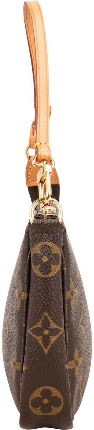 Louis Vuitton Monogram Canvas Pochette Accessoires Handbag