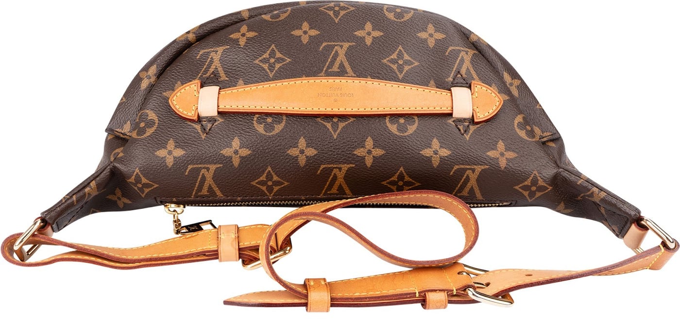 Louis Vuitton Monogram Canvas Bumbag Crossbody Bag