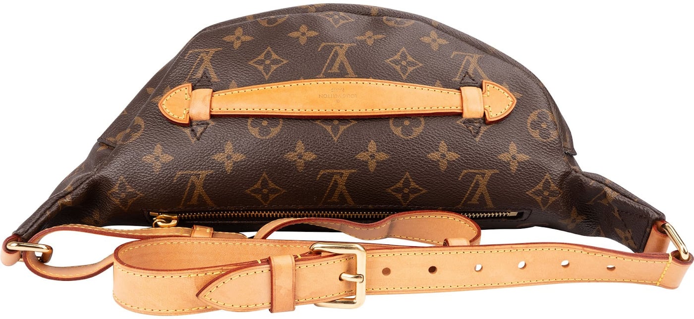Louis Vuitton Monogram Canvas Bumbag Crossbody Bag