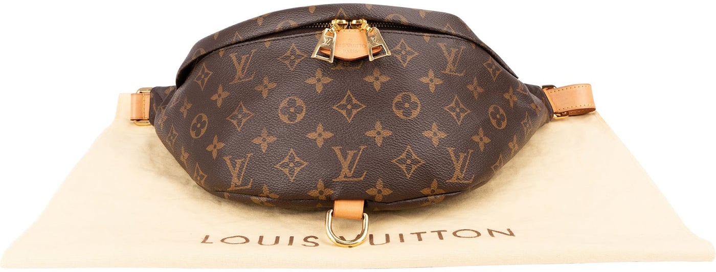 Louis Vuitton Monogram Canvas Bumbag Crossbody Bag
