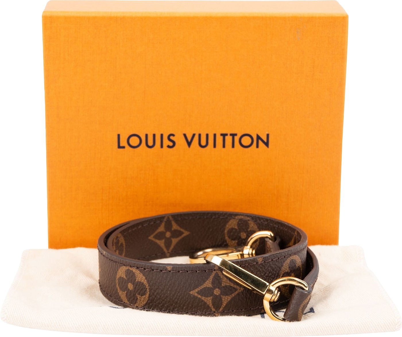 Louis Vuitton Monogram Canvas Bags Strap