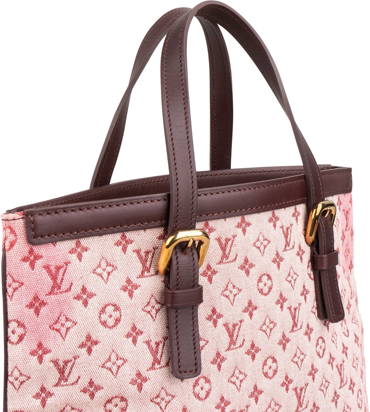 Louis Vuitton Monogram Mini Lin Francoise Handbag
