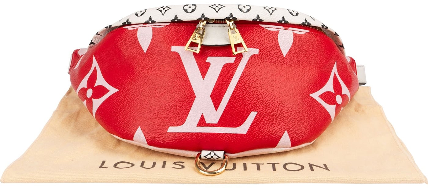 Louis Vuitton Giant Tricolor Monogram Canvas Bumbag Crossbody Bag