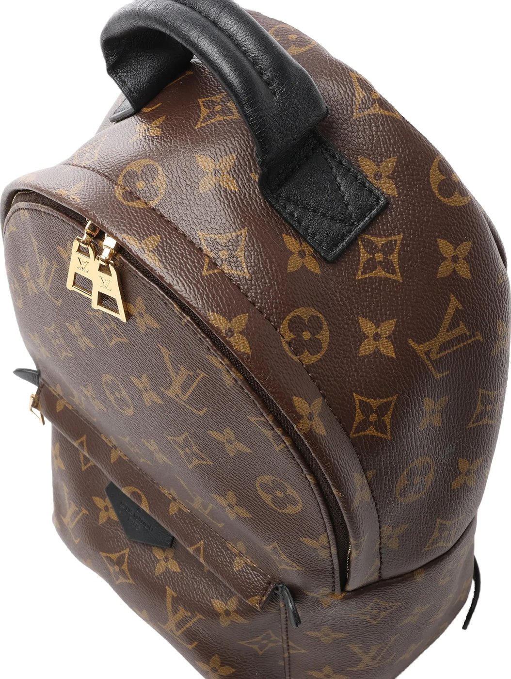 Louis Vuitton Palm Springs PM Monogram Backpack in Brown M41560