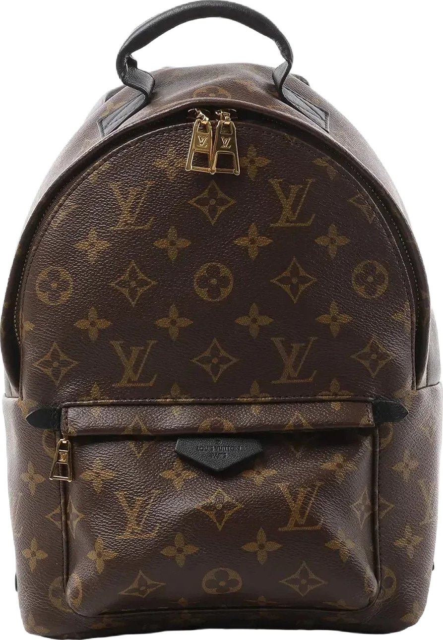 Louis Vuitton Palm Springs PM Monogram Backpack in Brown M41560