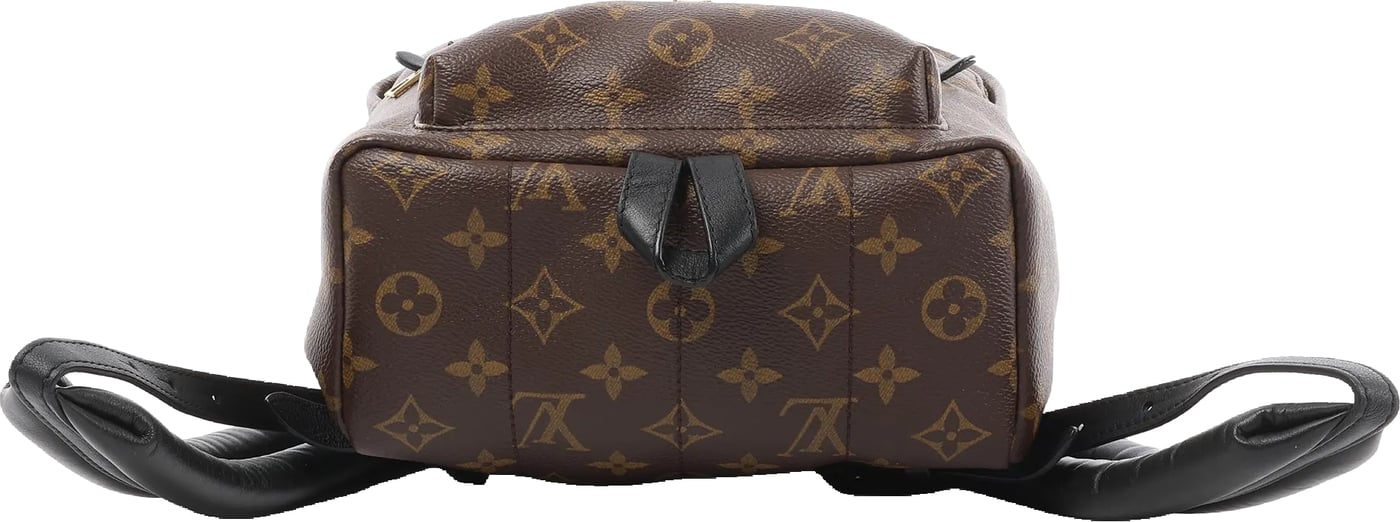 Louis Vuitton Palm Springs PM Monogram Backpack in Brown M41560