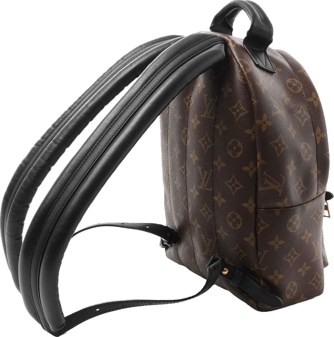 Louis Vuitton Palm Springs PM Monogram Backpack in Brown M41560