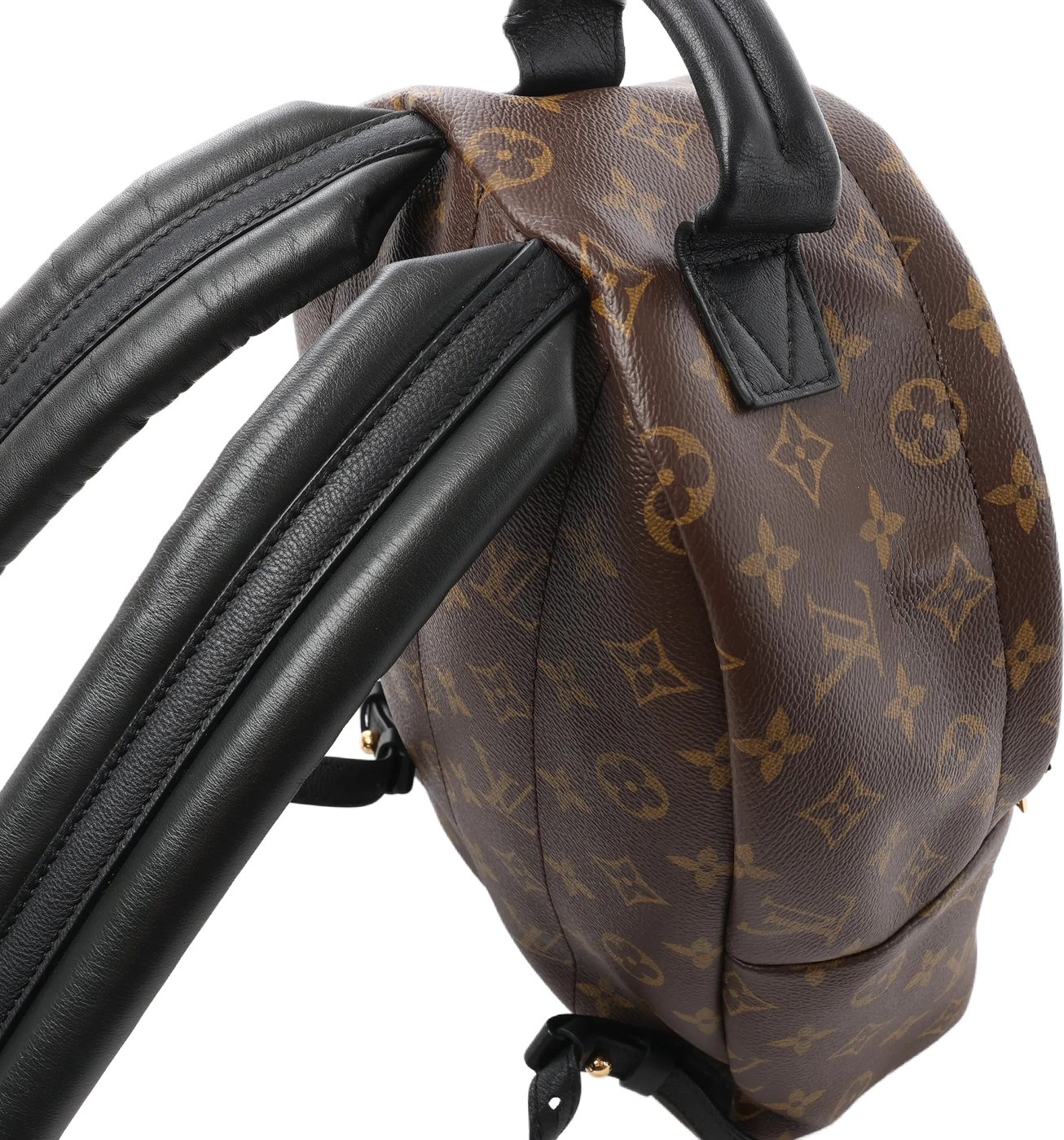 Louis Vuitton Palm Springs PM Monogram Backpack in Brown M41560