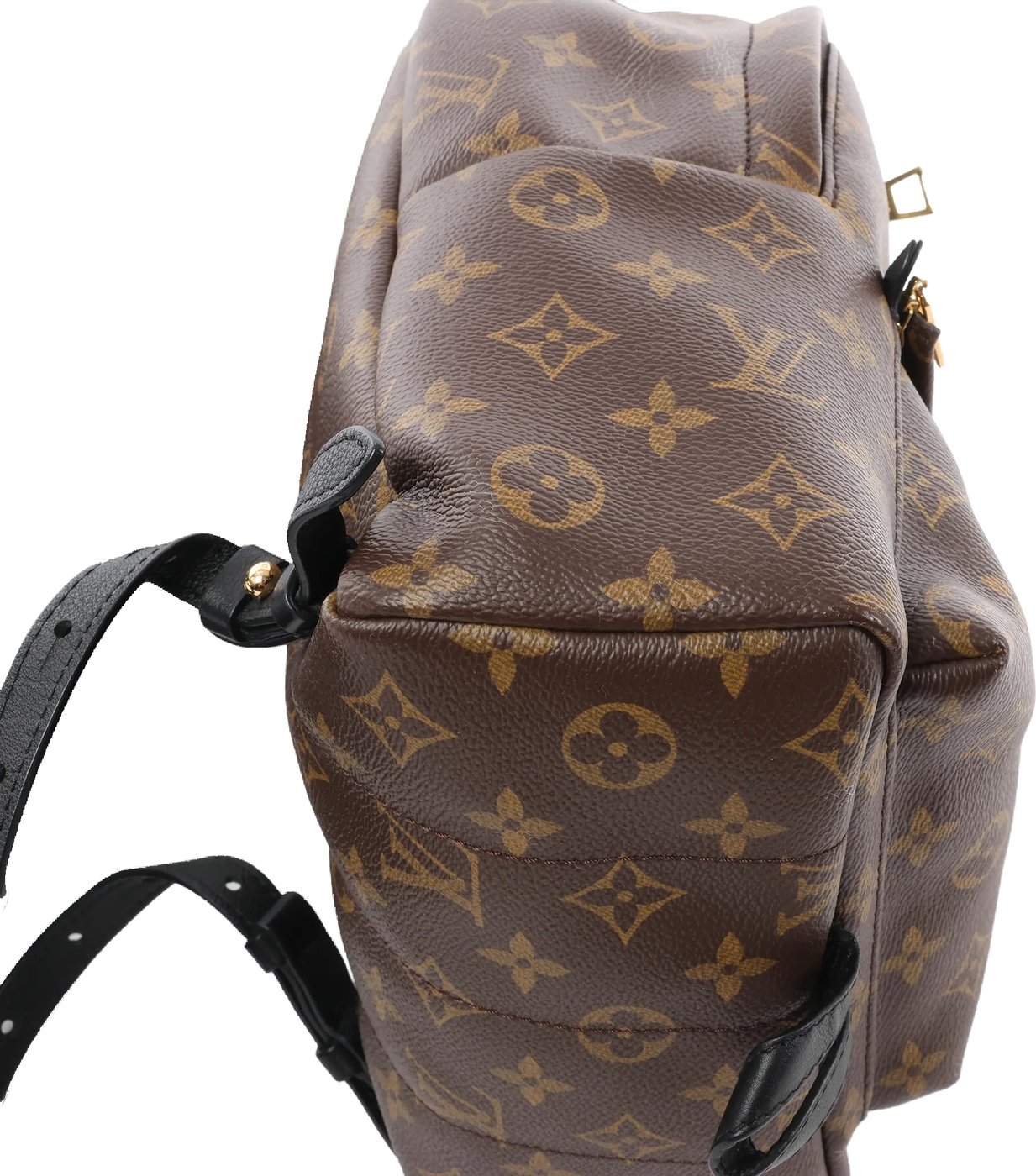 Louis Vuitton Palm Springs PM Monogram Backpack in Brown M41560