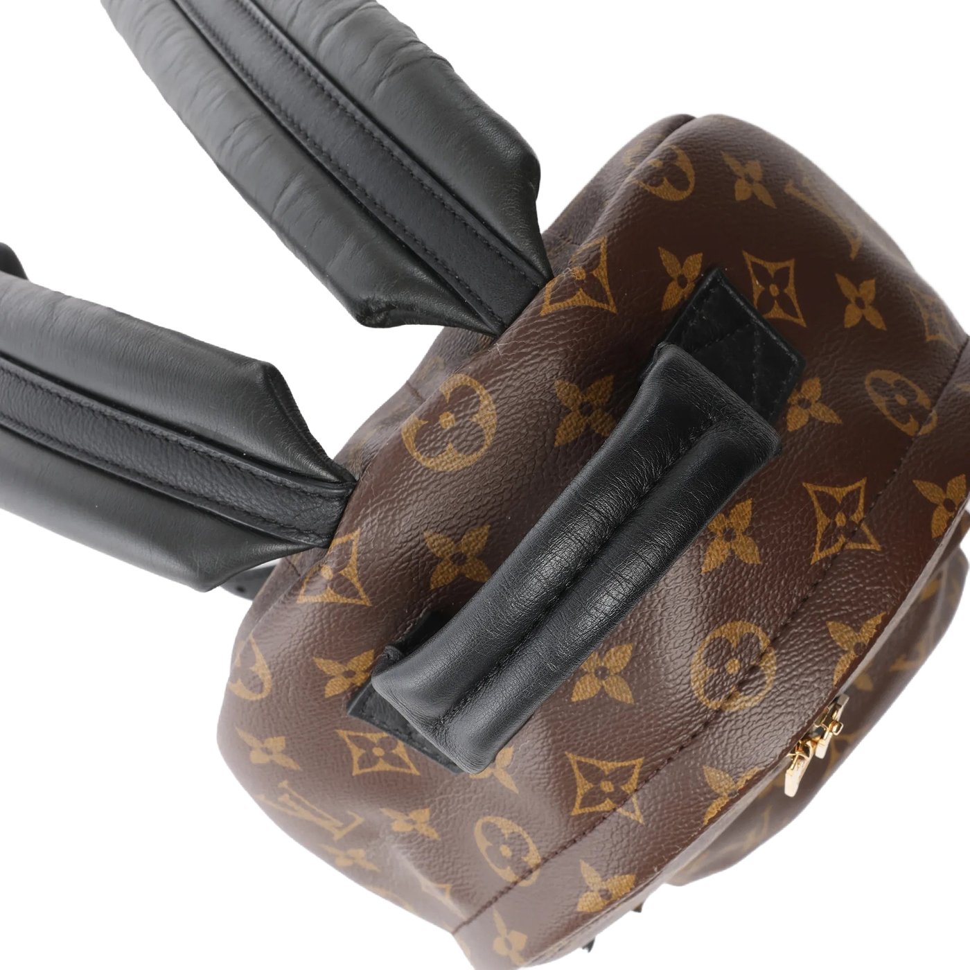 Louis Vuitton Palm Springs PM Monogram Backpack in Brown M41560