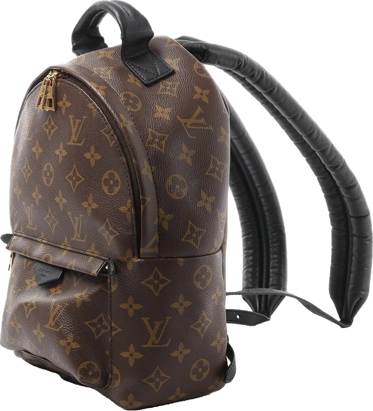 Louis Vuitton Palm Springs PM Monogram Backpack in Brown M41560