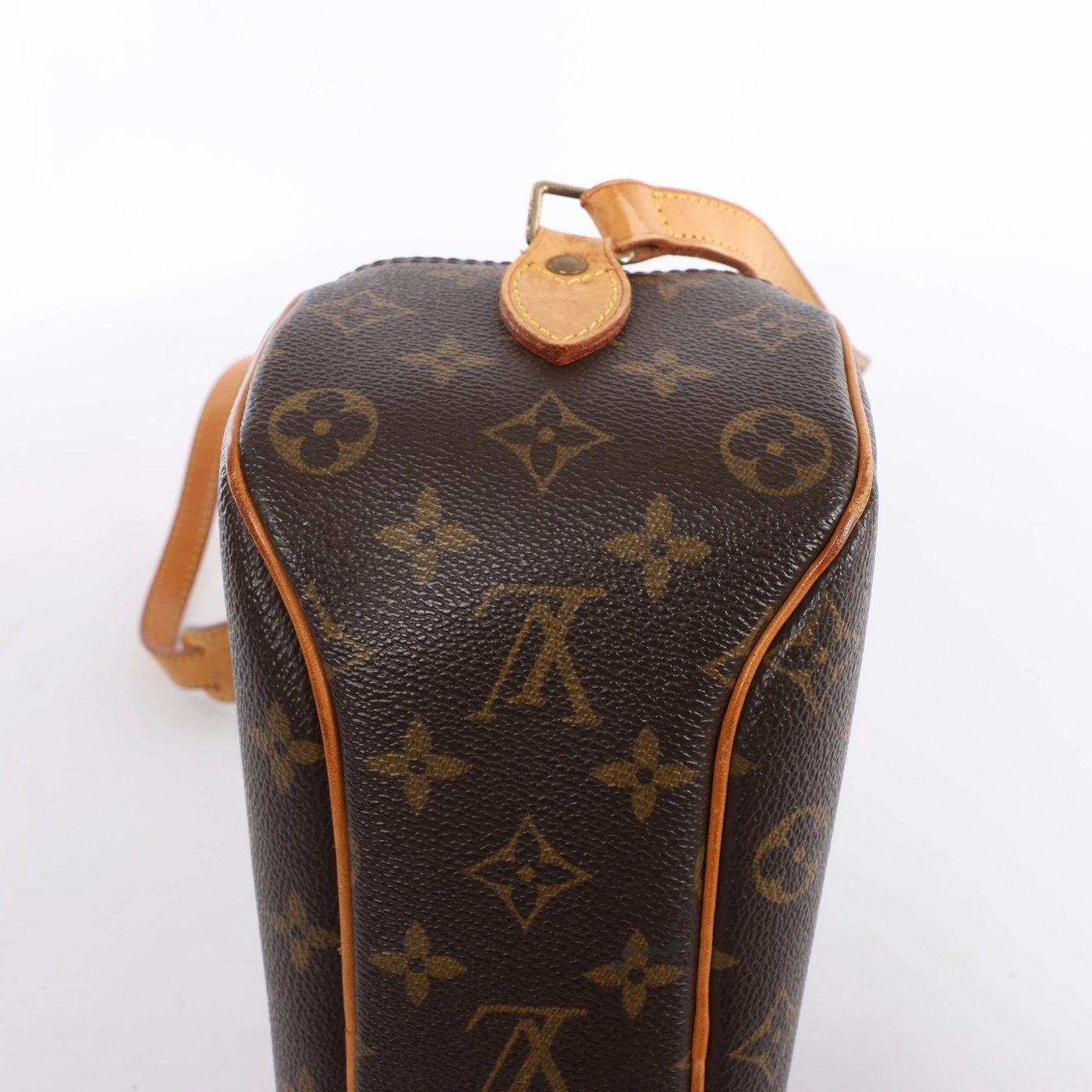 Louis Vuitton Blois Monogram Crossbody Bag in Brown M51221