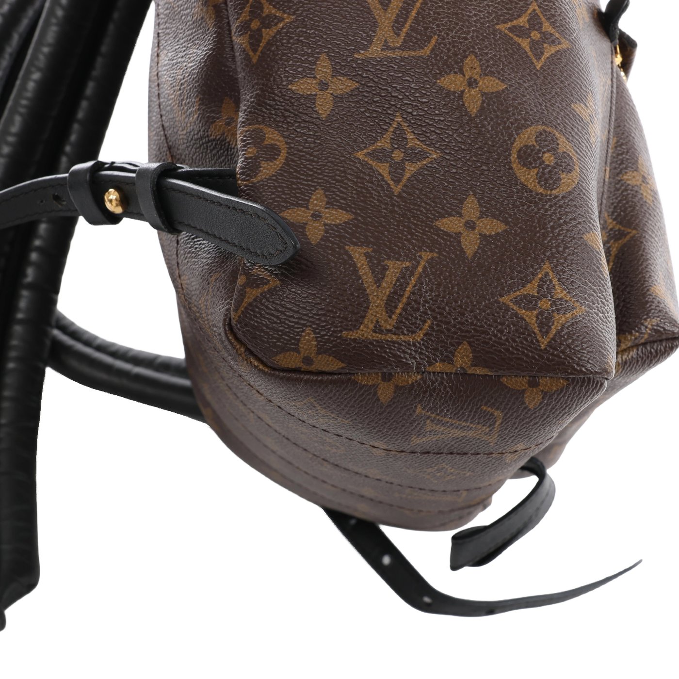 Louis Vuitton Palm Springs MM Monogram Backpack in Brown M44874