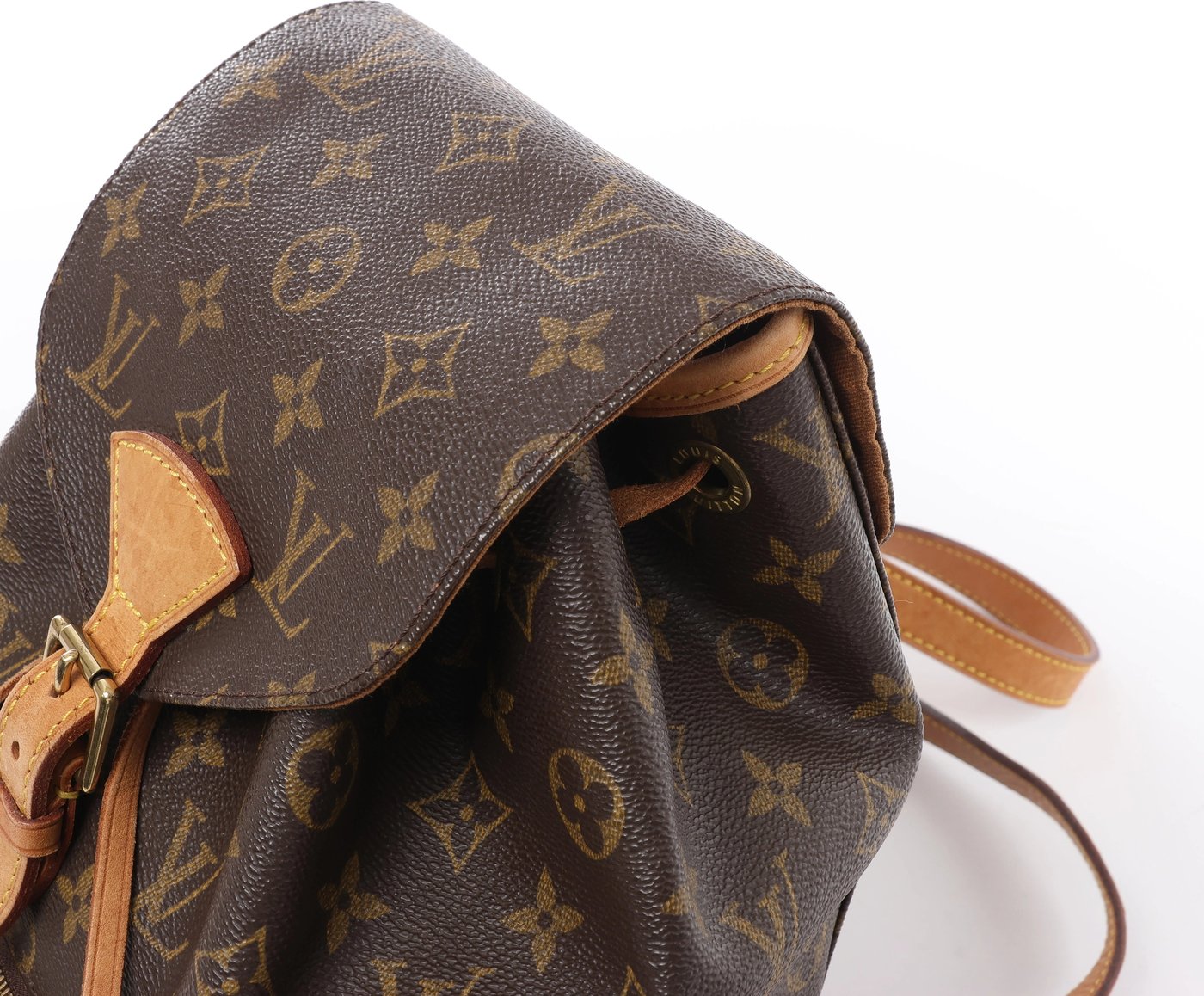 Louis Vuitton Montsouris MM Monogram Backpack in Brown M51136