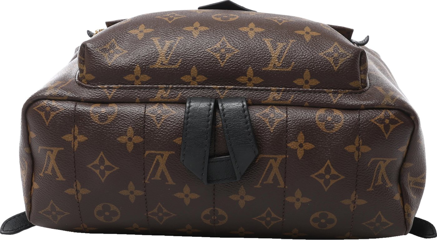 Louis Vuitton Palm Springs MM Monogram Backpack in Brown M44874