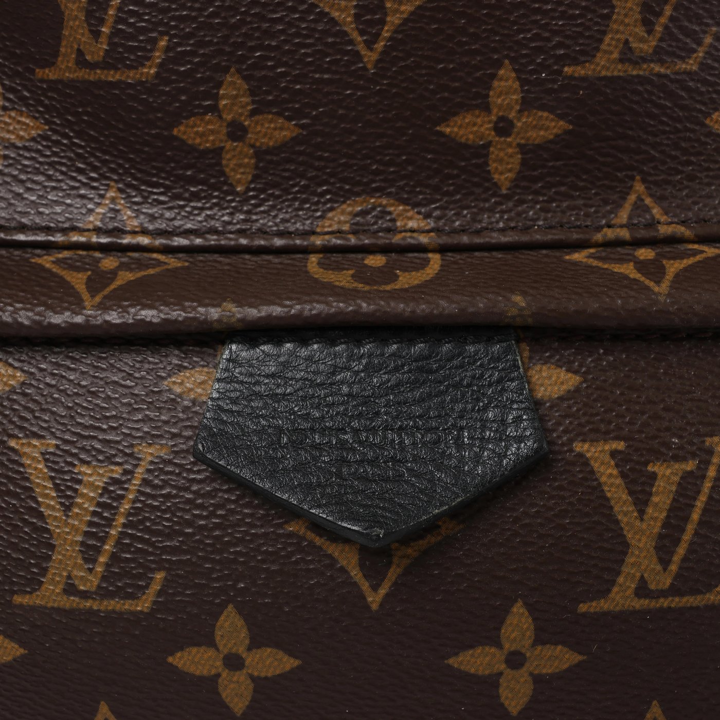 Louis Vuitton Palm Springs MM Monogram Backpack in Brown M44874