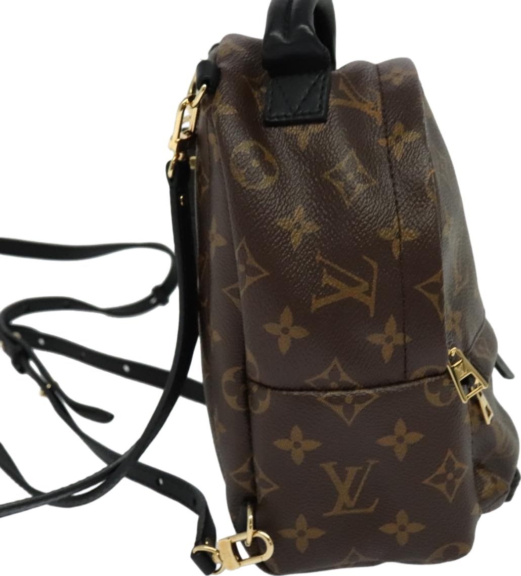 Louis Vuitton Palm Springs Monogram Canvas Mini