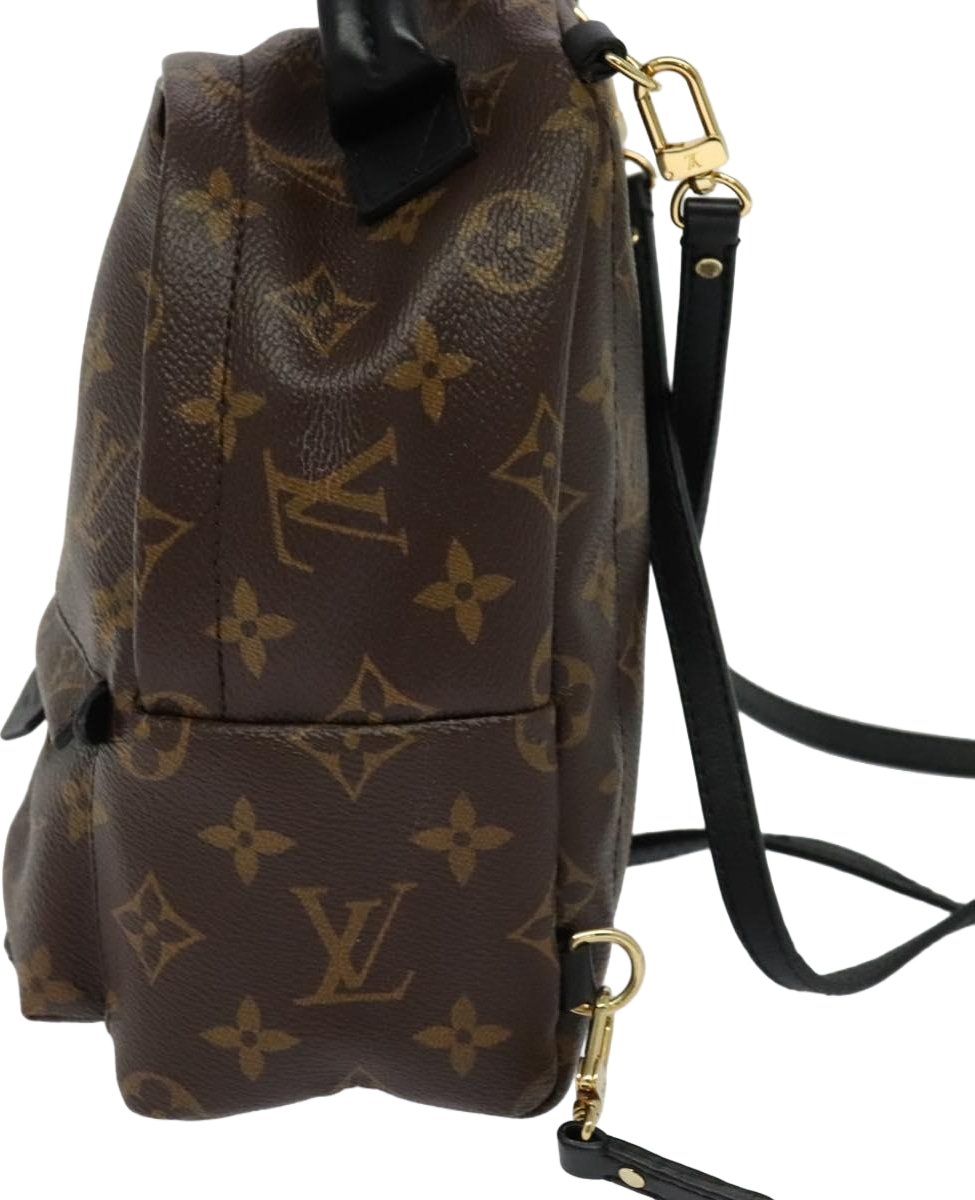 Louis Vuitton Palm Springs Monogram Canvas Mini