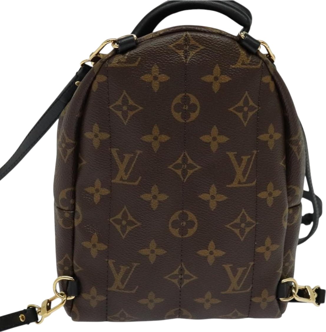 Louis Vuitton Palm Springs Monogram Canvas Mini