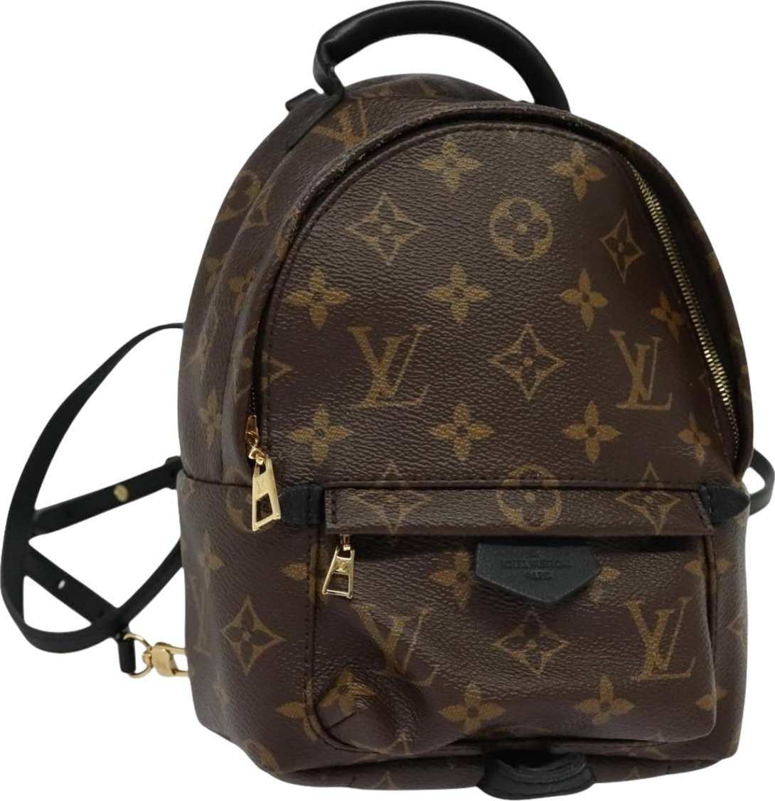 Louis Vuitton Palm Springs Monogram Canvas Mini
